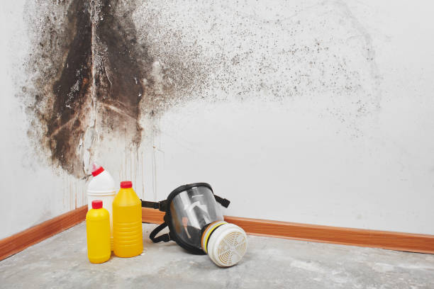 Franklin, MI Mold Removal Company