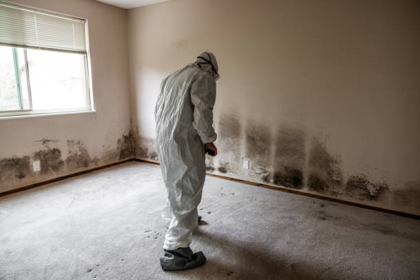 Best Office Mold Removal Services  in Franklin, MI